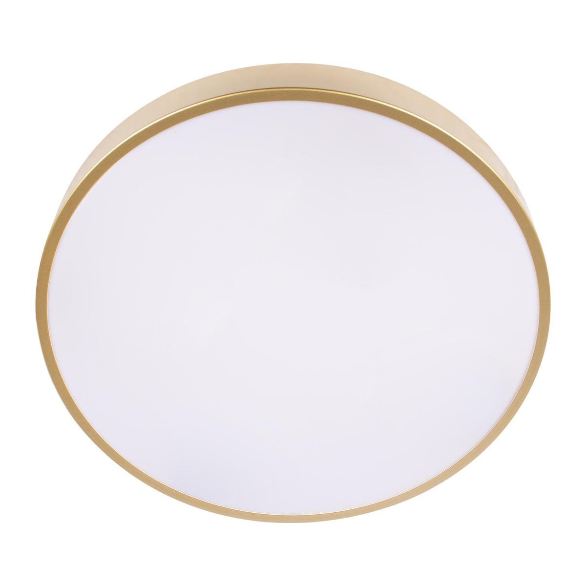 Потолочный светильник Loft IT Flims 10228/A