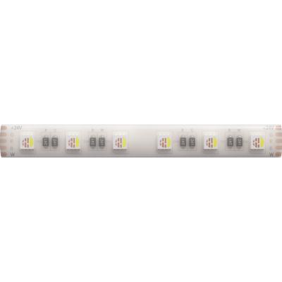 Светодиодная лента Arte Lamp Aqua Tape 24В 14,4Вт/м 2900/3100+RGB 5м IP65 A2406012-04-RGB3K