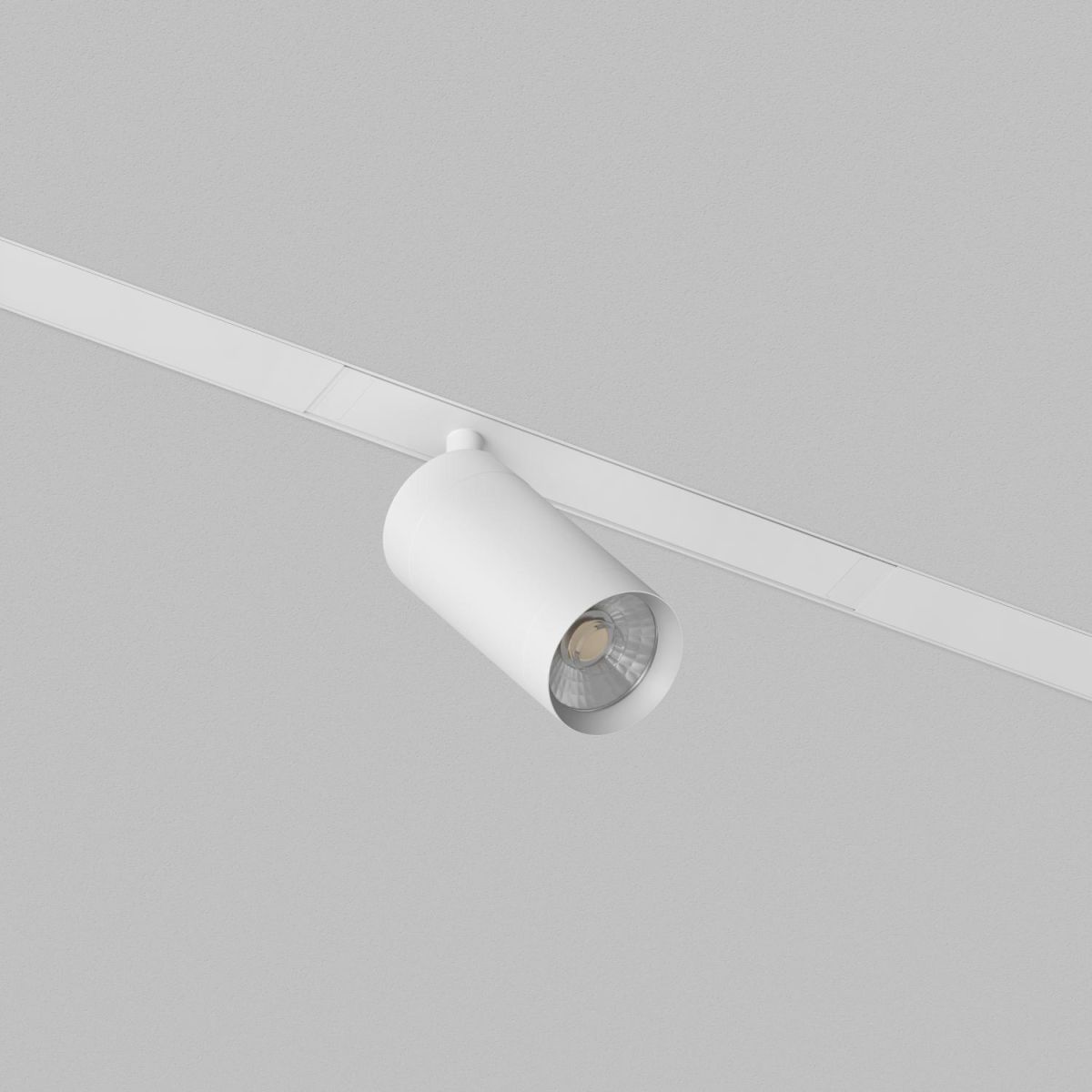 Трековый однофазный светильник Denkirs Simple Spot DK8210-WH