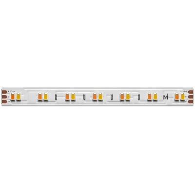 Светодиодная лента Maytoni Led Strip 24В 2835 19,2Вт/м 2700-6000К 5м IP20 201124