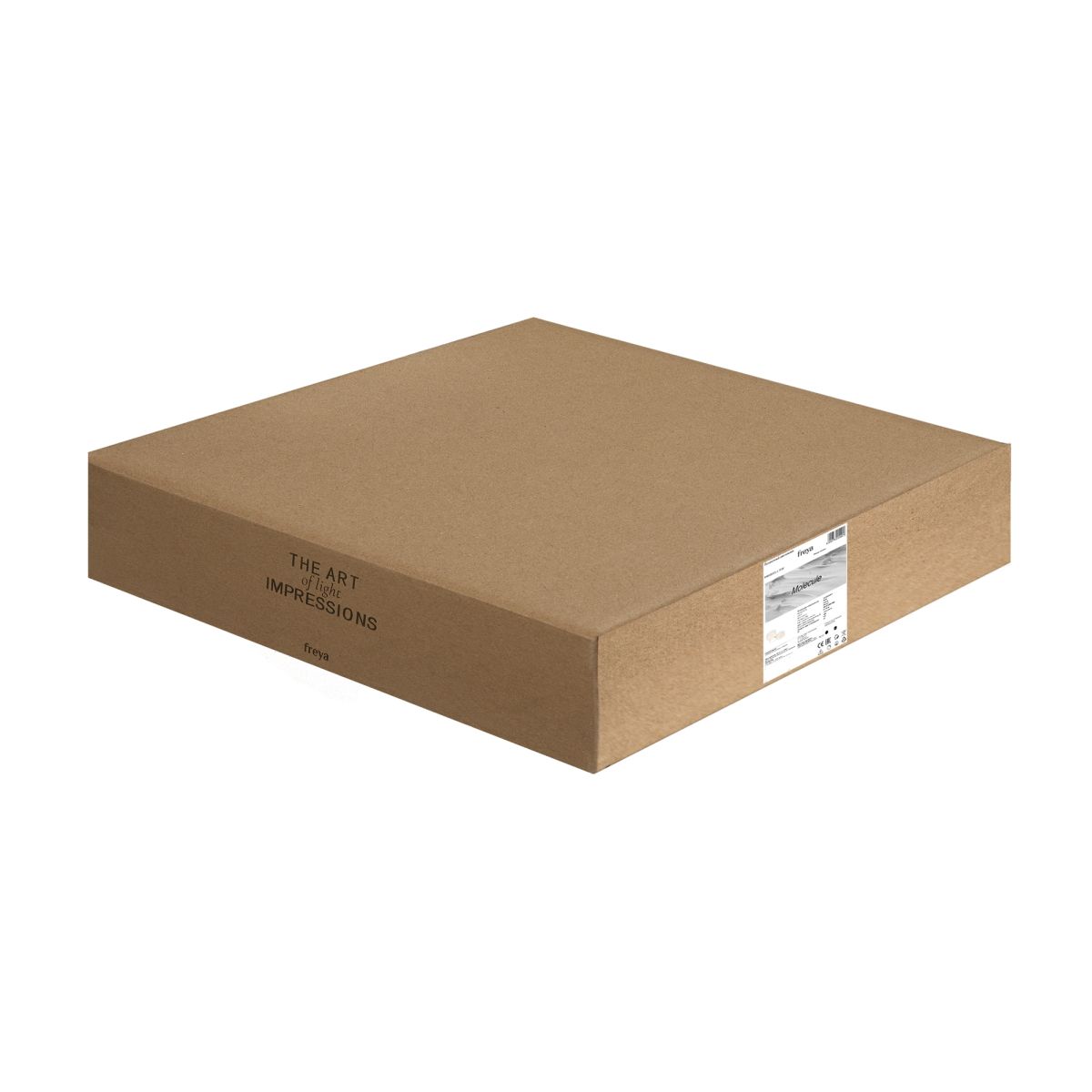 Потолочный светильник Freya Molecule FR6080CL-L76W