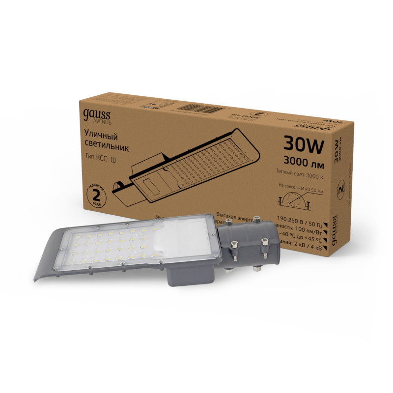 Уличный консольный светильник Gauss Avenue 629534130