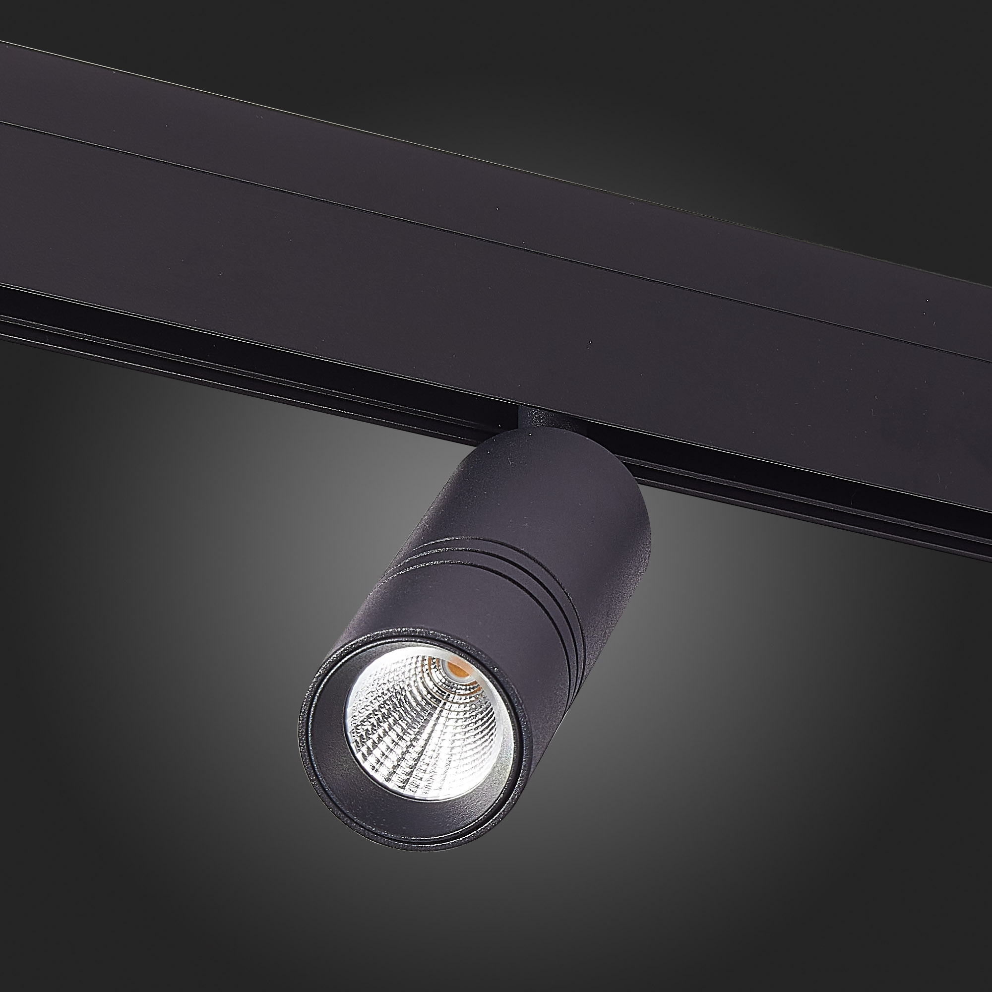 Трековый светильник ST Luce Lemmi ST365.446.12