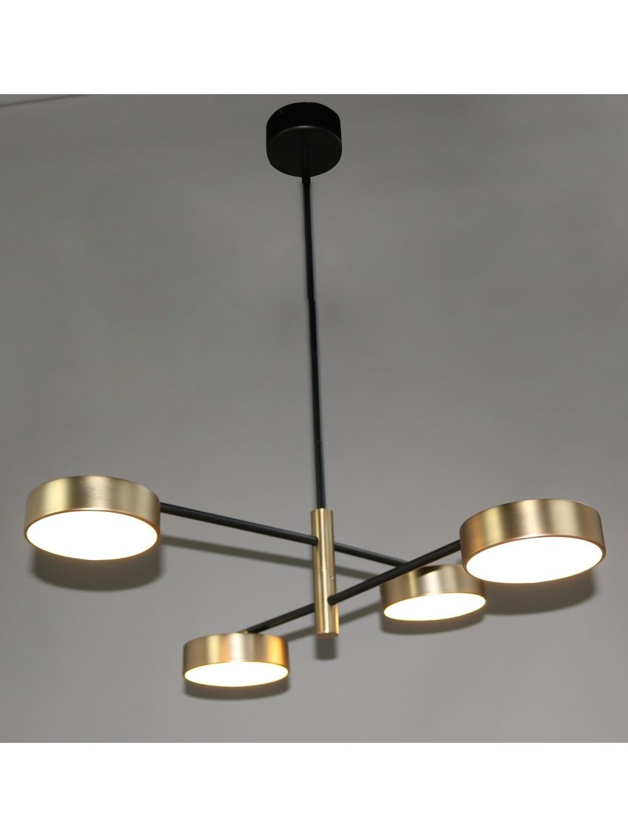 Люстра на штанге Zortes Lunar ZRS.01243.06