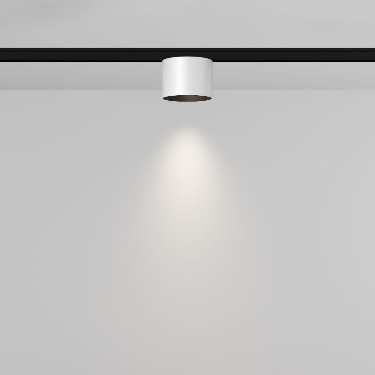 Трековый магнитный светильник Maytoni Alfa S TR188-1-5W4K-M-BW