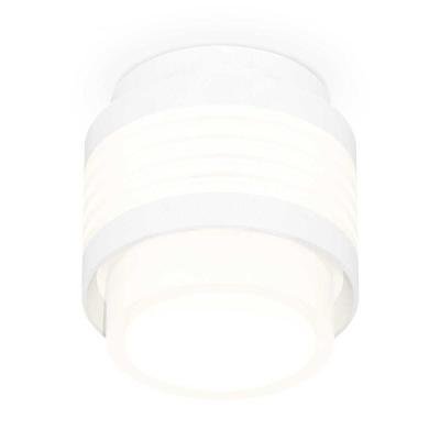 Комплект накладного светильника Ambrella light Techno Spot XS (C8431, N8401) XS8431001