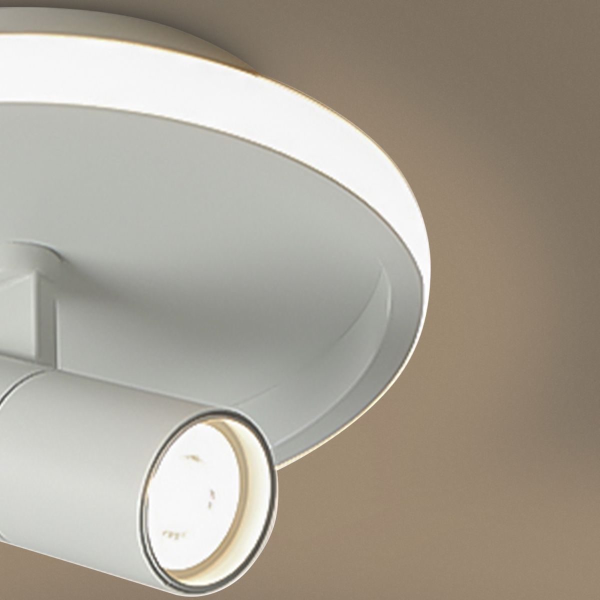 Потолочный светильник Freya Neo FR6040CL-L14W