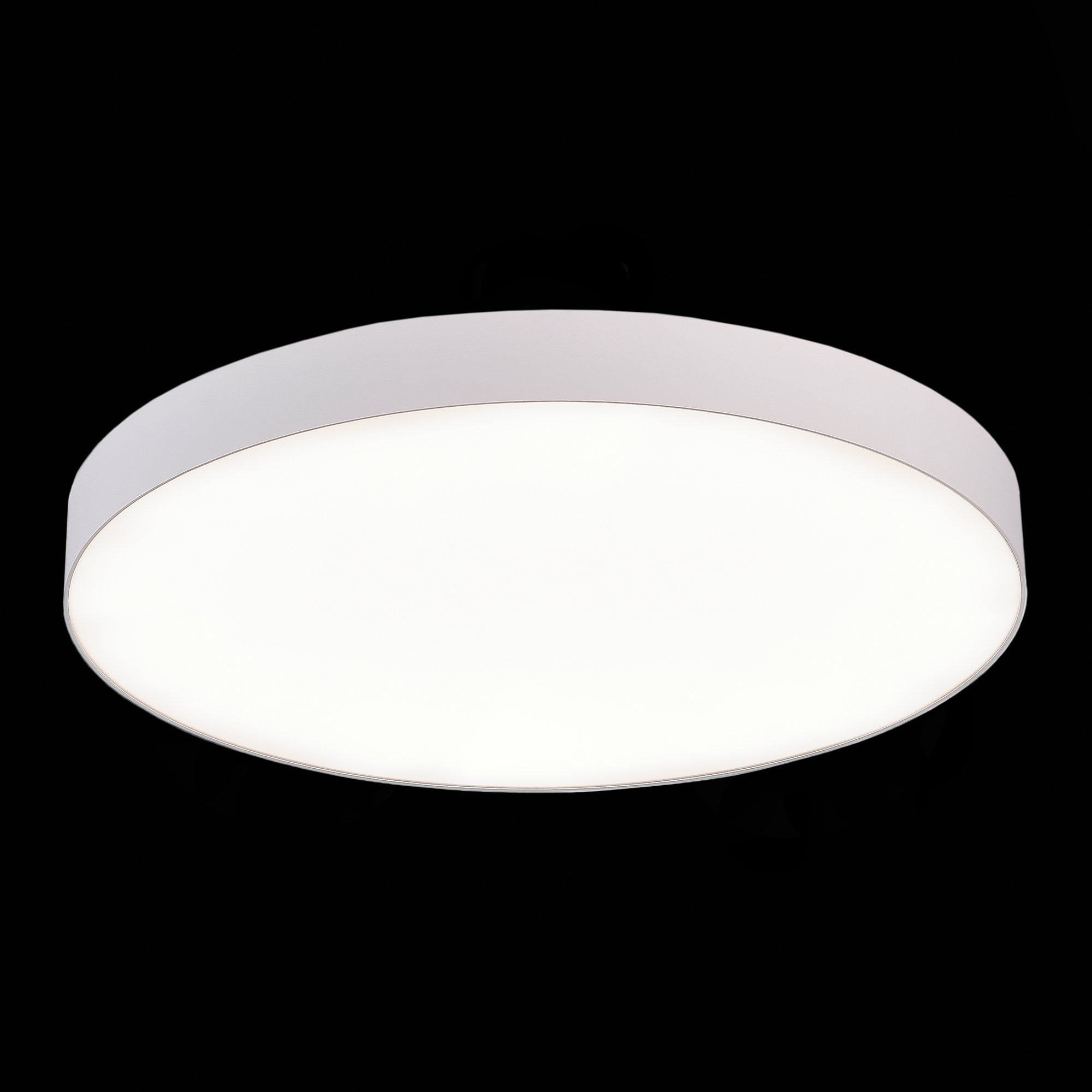 Потолочный светильник ST Luce ST606.542.96