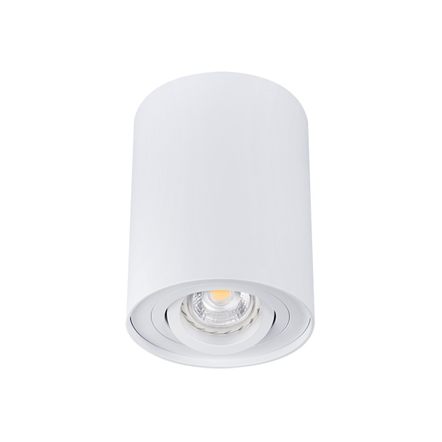 Накладной светильник Kanlux Bord DLP-50-W  22551