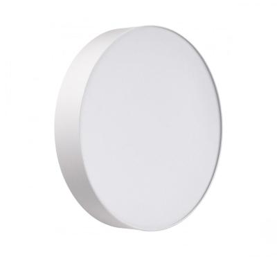 Настенно-потолочный светильник Sonex Basica Optima 7779/DLN