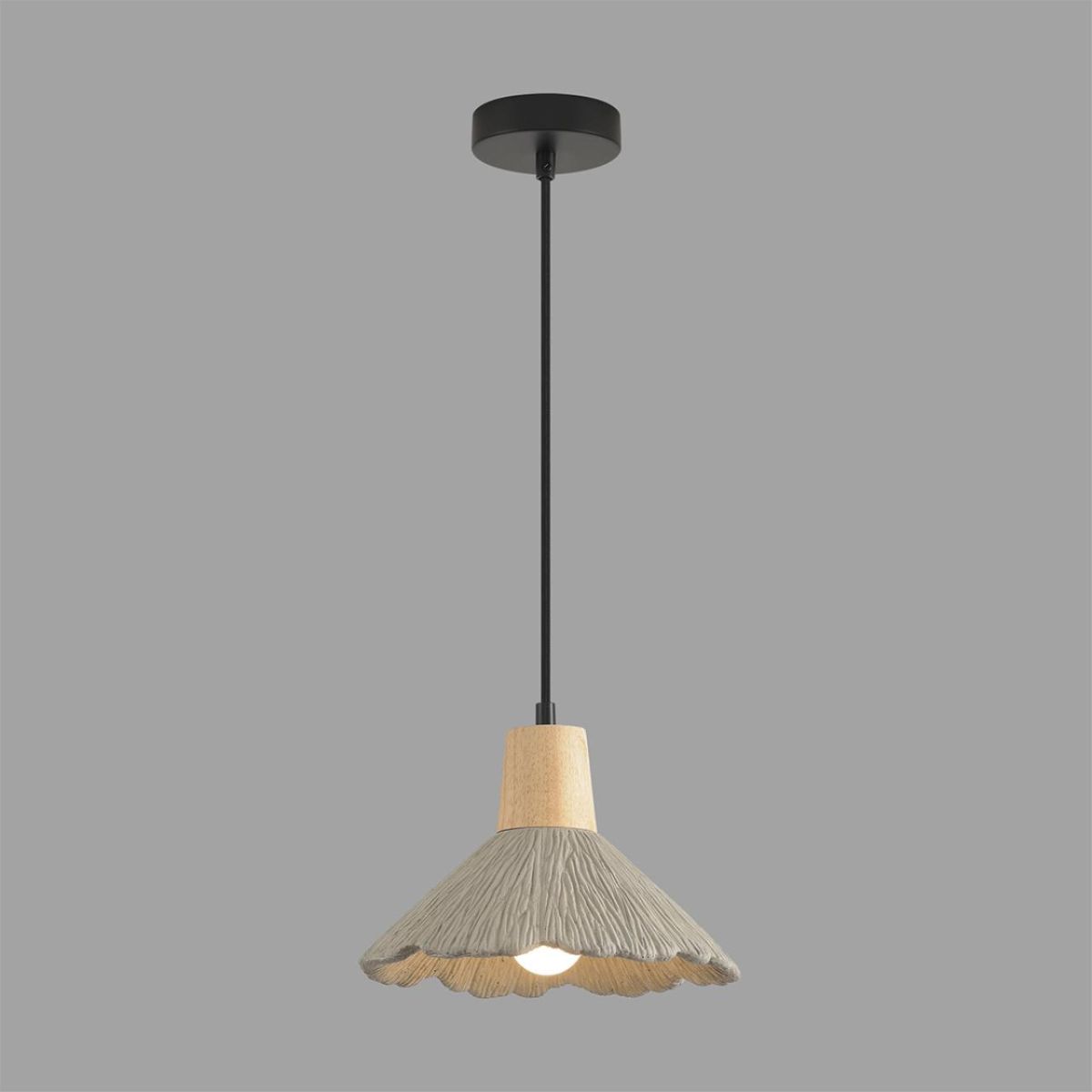Подвесной светильник Lumion Suspentioni Eoliana 8351/1A