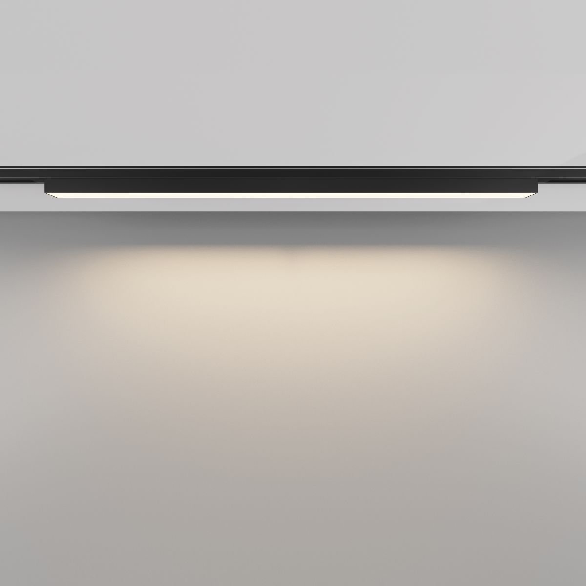 Трековый магнитный светильник Maytoni Basis TR192-1-16W3K-B