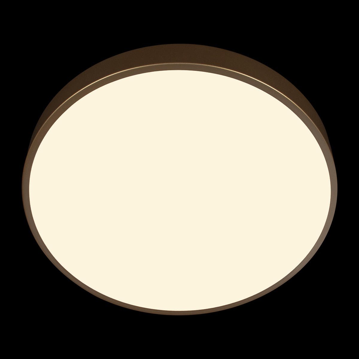 Потолочный светильник Loft IT Flims 10228/A