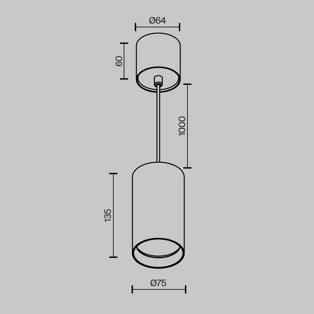 Подвесной светильник Maytoni Vol P100PL-20W3K-BS