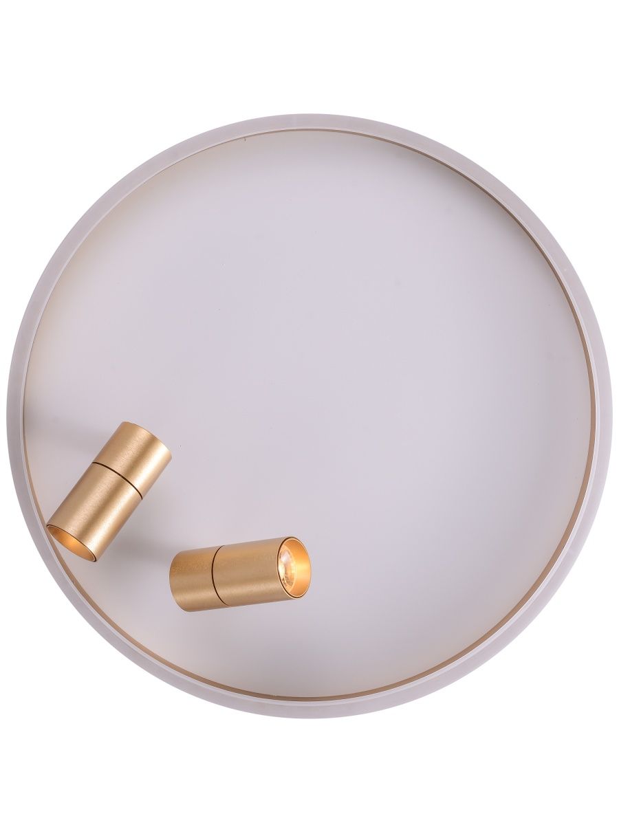 Потолочный светильник Zortes Raizy ZRS.1888.02