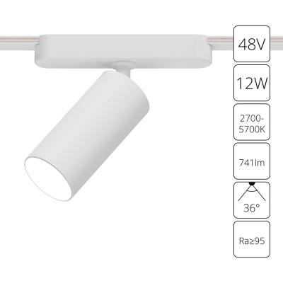 Трековый магнитный светильник Arte Lamp Rapid A2958PL-1WH