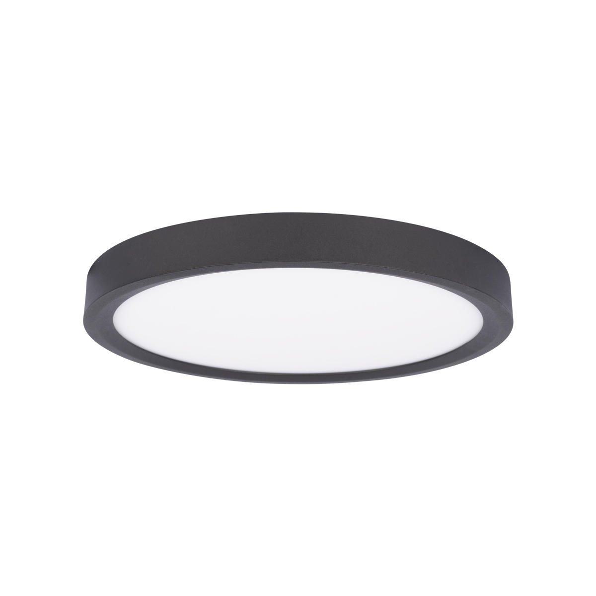 Потолочный светильник Loft IT Extraslim 10227/24 Black
