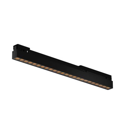 Уличный трековый светильник Maytoni Points O-TR02-2-S-24WB3K