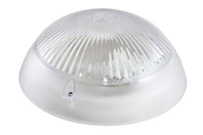 Настенно-потолочный светильник TDM Electric Сириус НПП 03-100-010.01 SQ0311-0007