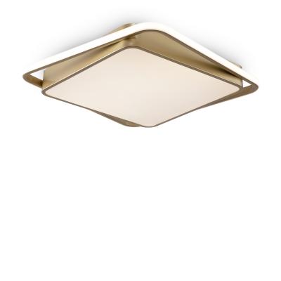 Потолочная люстра Freya Yaku FR10026CL-L93G