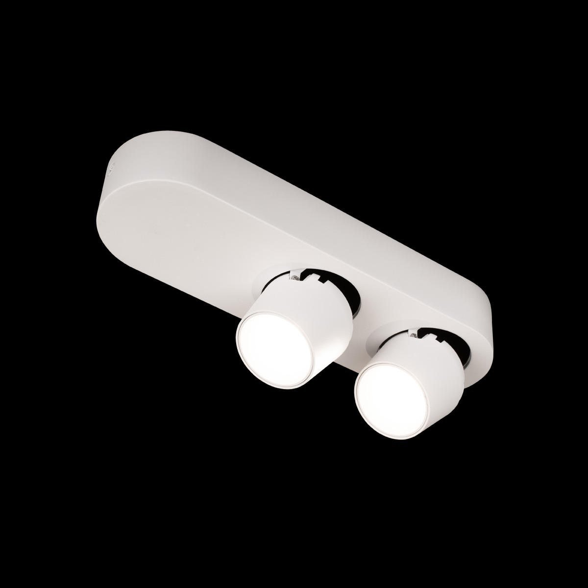 Накладной спот Loft IT Quiet 10320/2 White