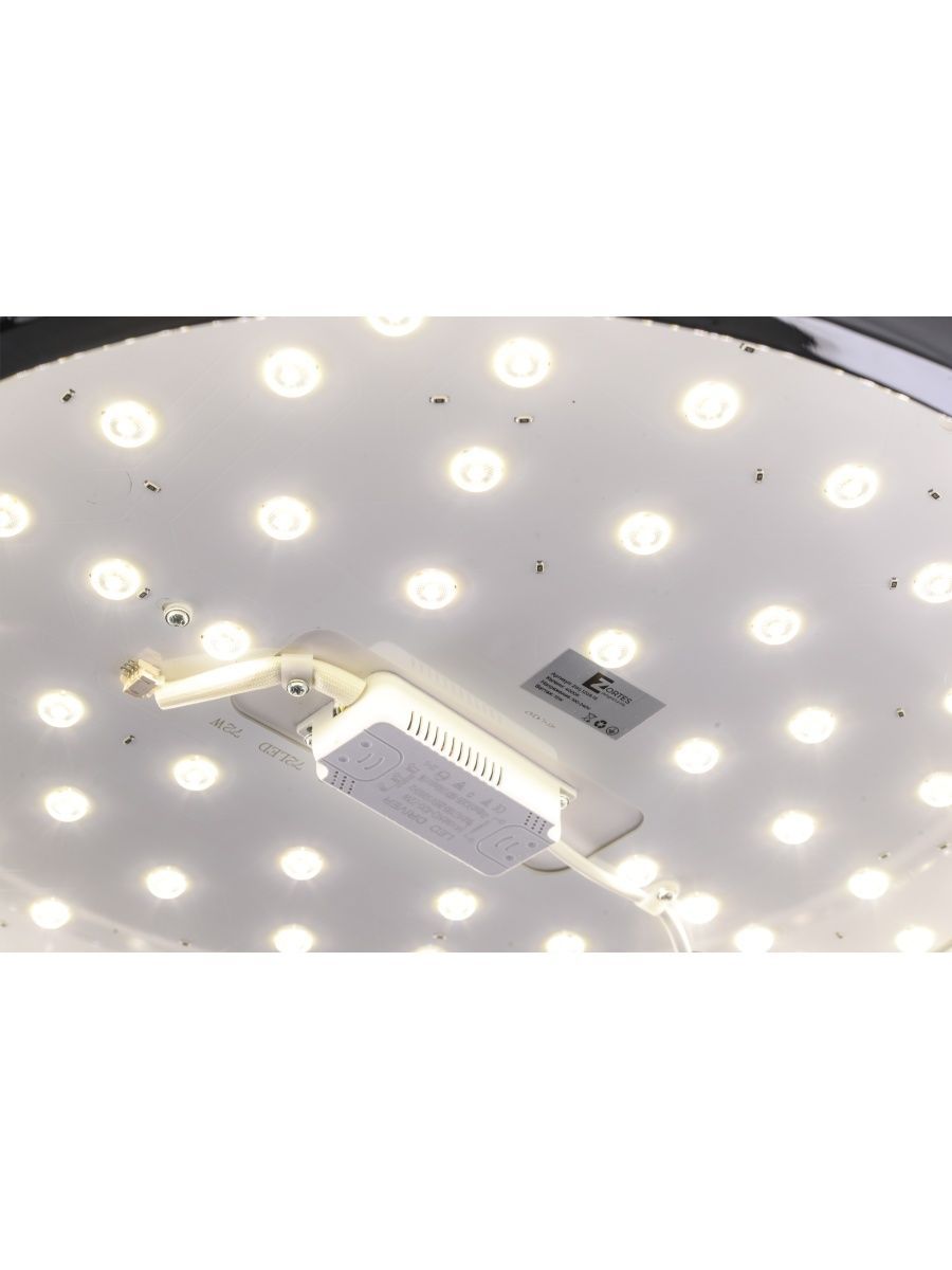 Потолочный светильник Zortes Monna ZRS.1209.12