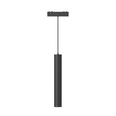 Трековый магнитный светильник Aployt Magnetic track 48 APL.0126.00.06