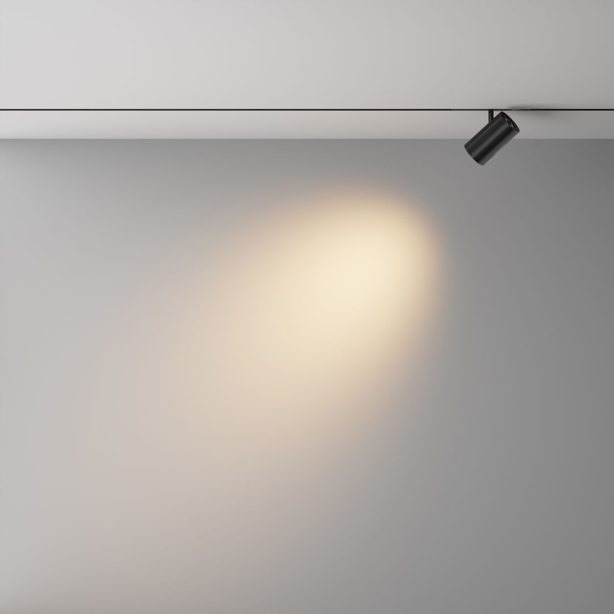Трековый магнитный светильник Maytoni Technical Focus Led Exility X TR243-12W3K-B