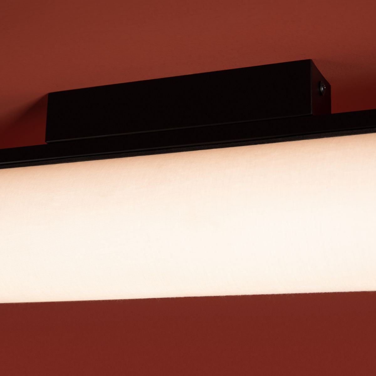 Потолочный светильник Freya Even FR5625CL-L20B