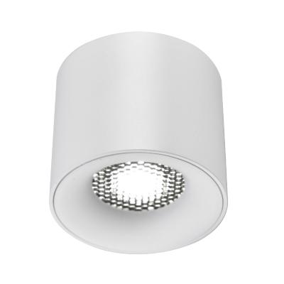 Накладной светильник ST Luce ST761.533.10
