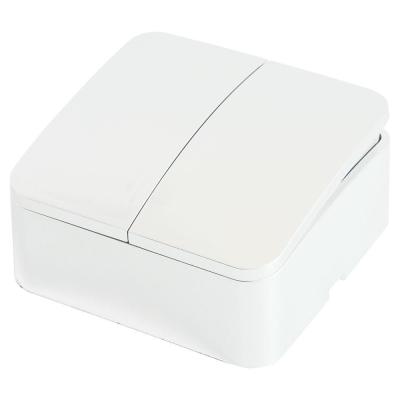 Выключатель двухклавишный Stekker белый MSW10-20-01 49289 Выключатель двухклавишный Stekker белый MSW10-20-01 49289