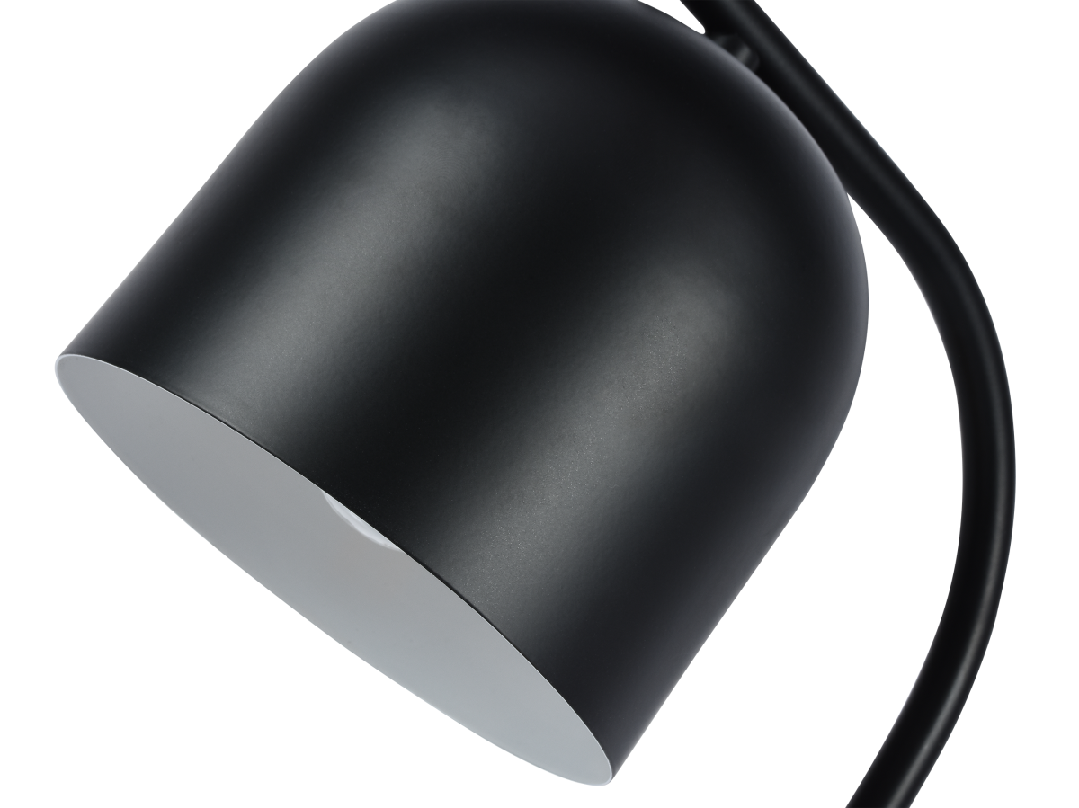 Настольная лампа Zortes DeskLight ZRS.1066.01