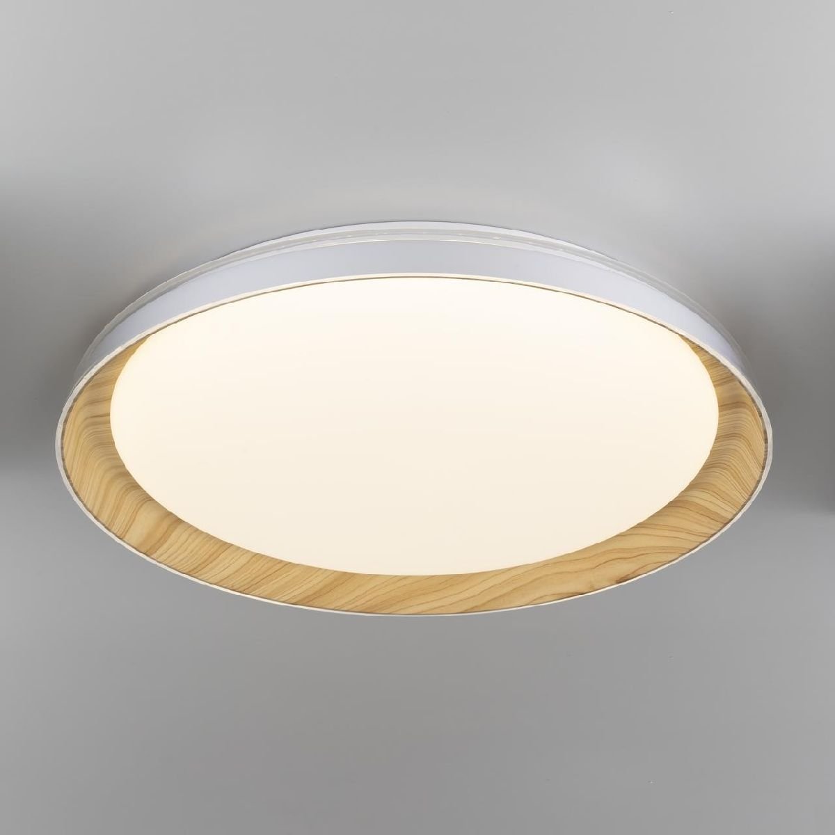 Потолочный светильник Citilux Mega CL752452G
