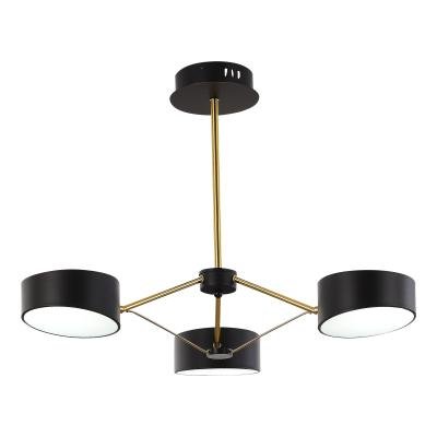 Потолочный светильник Evoluce Valle SLE6005-402-03