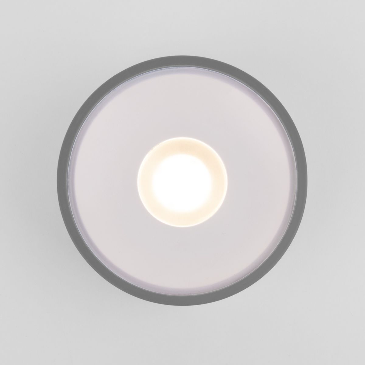 Уличный потолочный светильник Elektrostandard Light LED 4690389180149