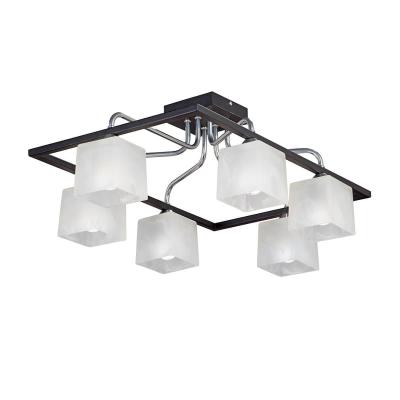 Накладная люстра Vitaluce V4798-1/6PL
