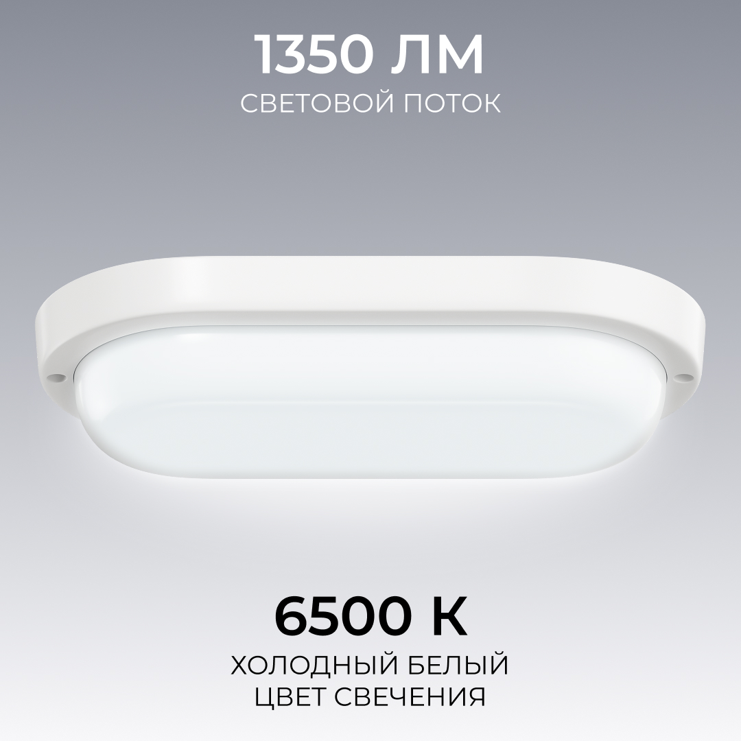 Светильник светодиодный герметичный OGM О28-12