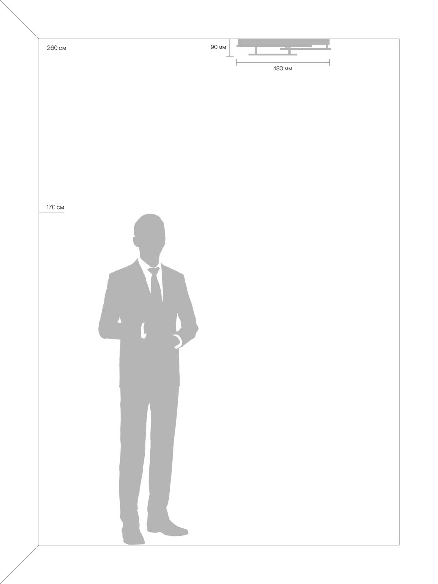 Потолочный светильник Freya Sunny Market FR10022CL-L71W