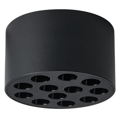 Потолочный светильник Lightstar Guarda 080947