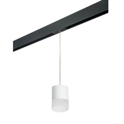 Трековый однофазный светильник Lightstar Rullo (213486+595887+202481) PRORP348681