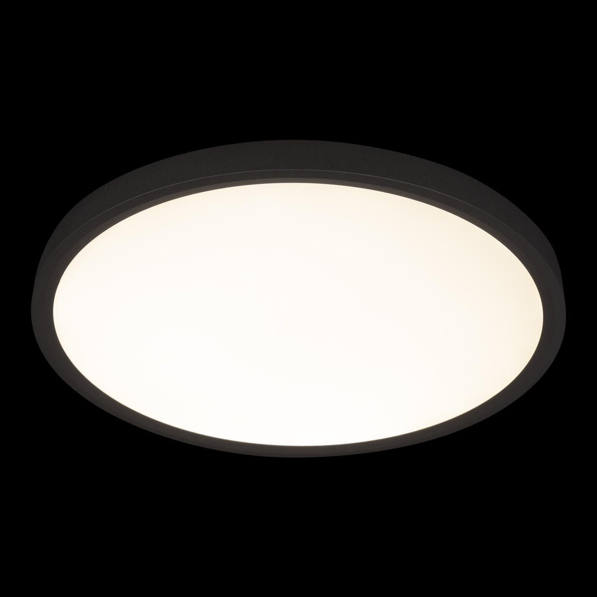 Потолочный светильник Loft IT Extraslim 10227/40 Black