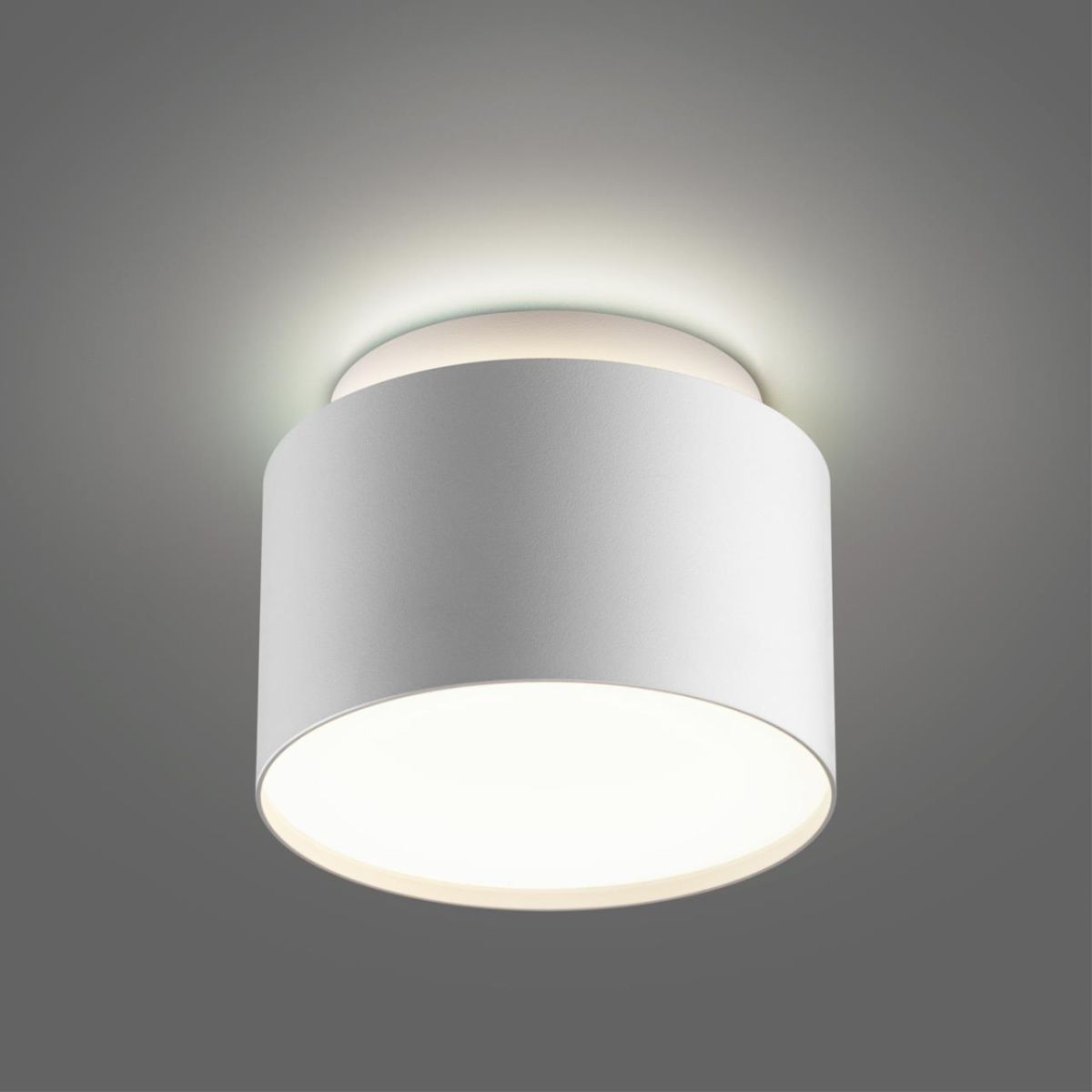 Накладной светильник Novotech Over Lirio 371037