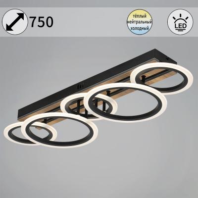 Потолочная люстра Reluce 00330-0.3-3+2