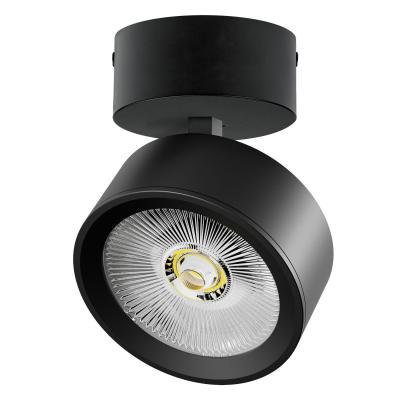 Накладной светильникAlta Pro Lightstar A5637SO