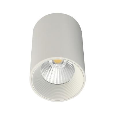Потолочный светильник 20003 20003SMU/01LED SWH