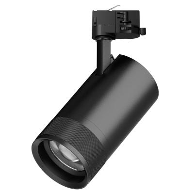 Трековый трехфазный светильник Quattro 20-55G с адаптером Lightstar Canno Pro C4407QT