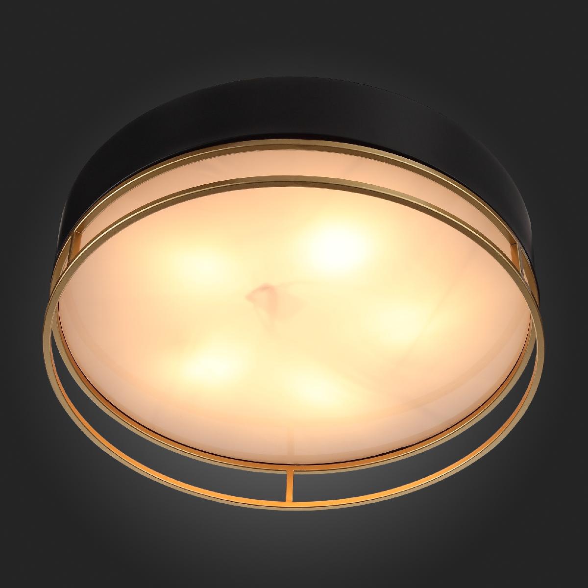 Накладная люстра ST-Luce SL1127.432.05