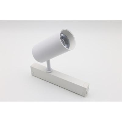 Трековый магнитный светильник Aployt Magnetic track 220 APL.0205.10.20