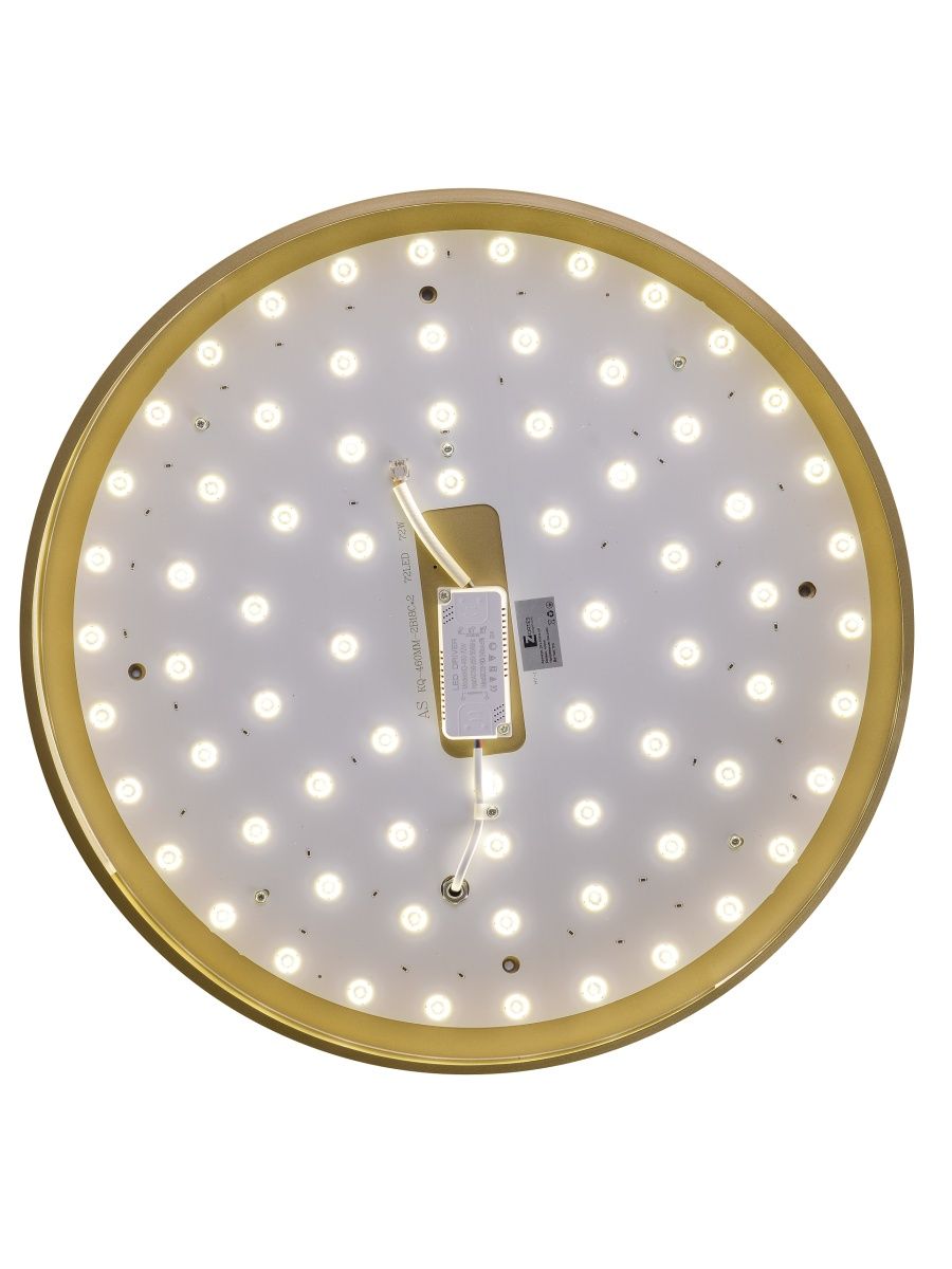 Потолочный светильник Zortes Gabby ZRS.90610.50