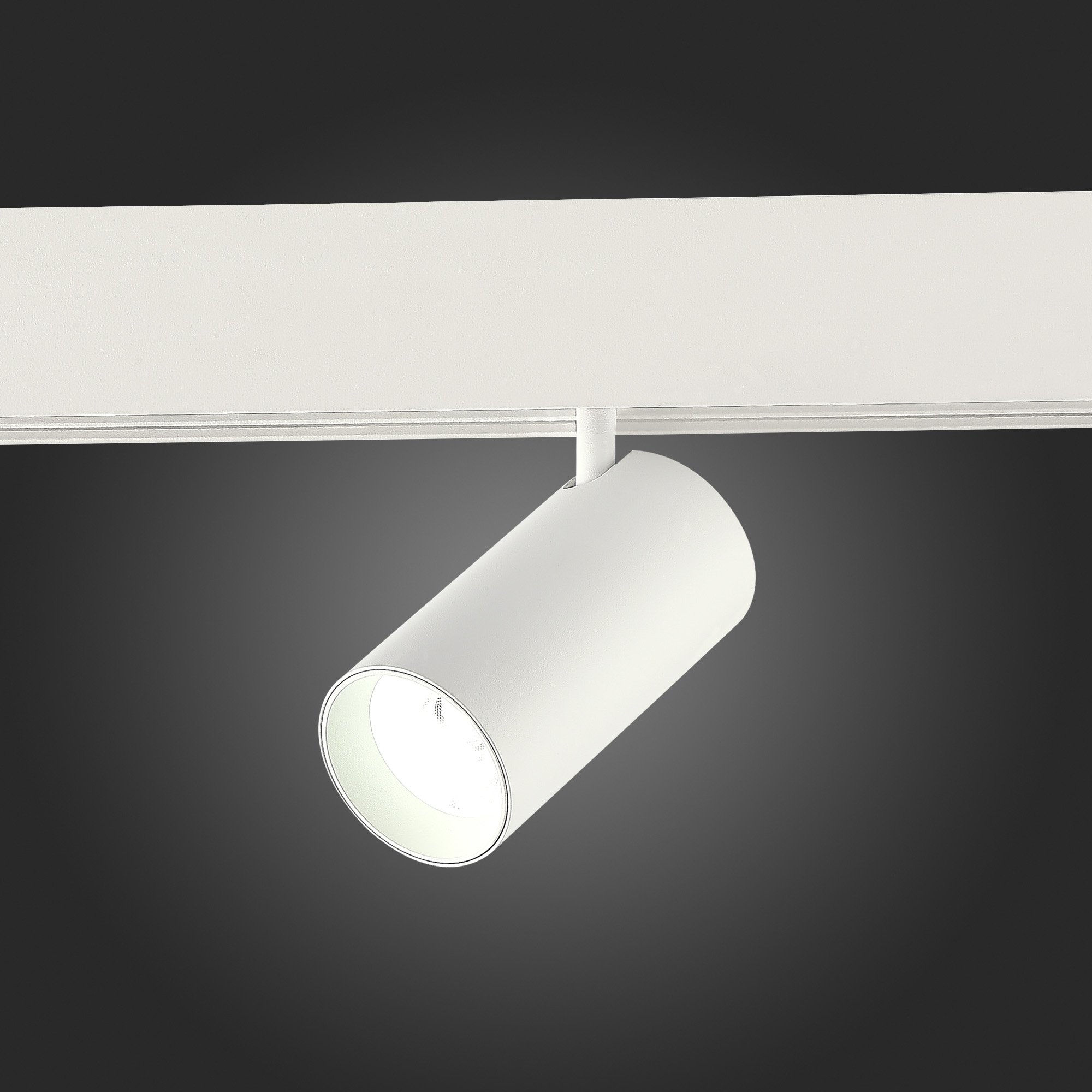 Трековый светильник ST Luce Skyline 48 ST375.506.20